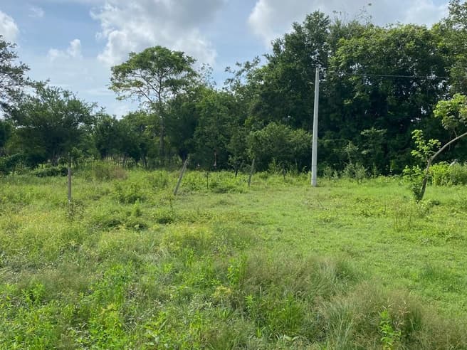 Imagen principal de Lote en Venta El Cañito