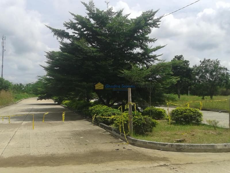 Imagen principal de Lote en Venta Los Robles del Norte
